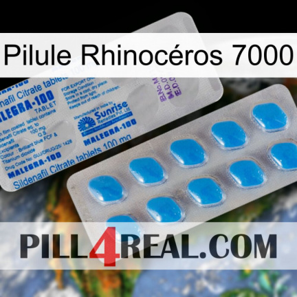 Pilule Rhinocéros 7000 new15